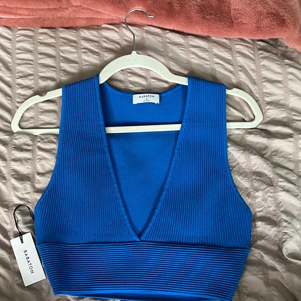 Babaton sculpt knit top